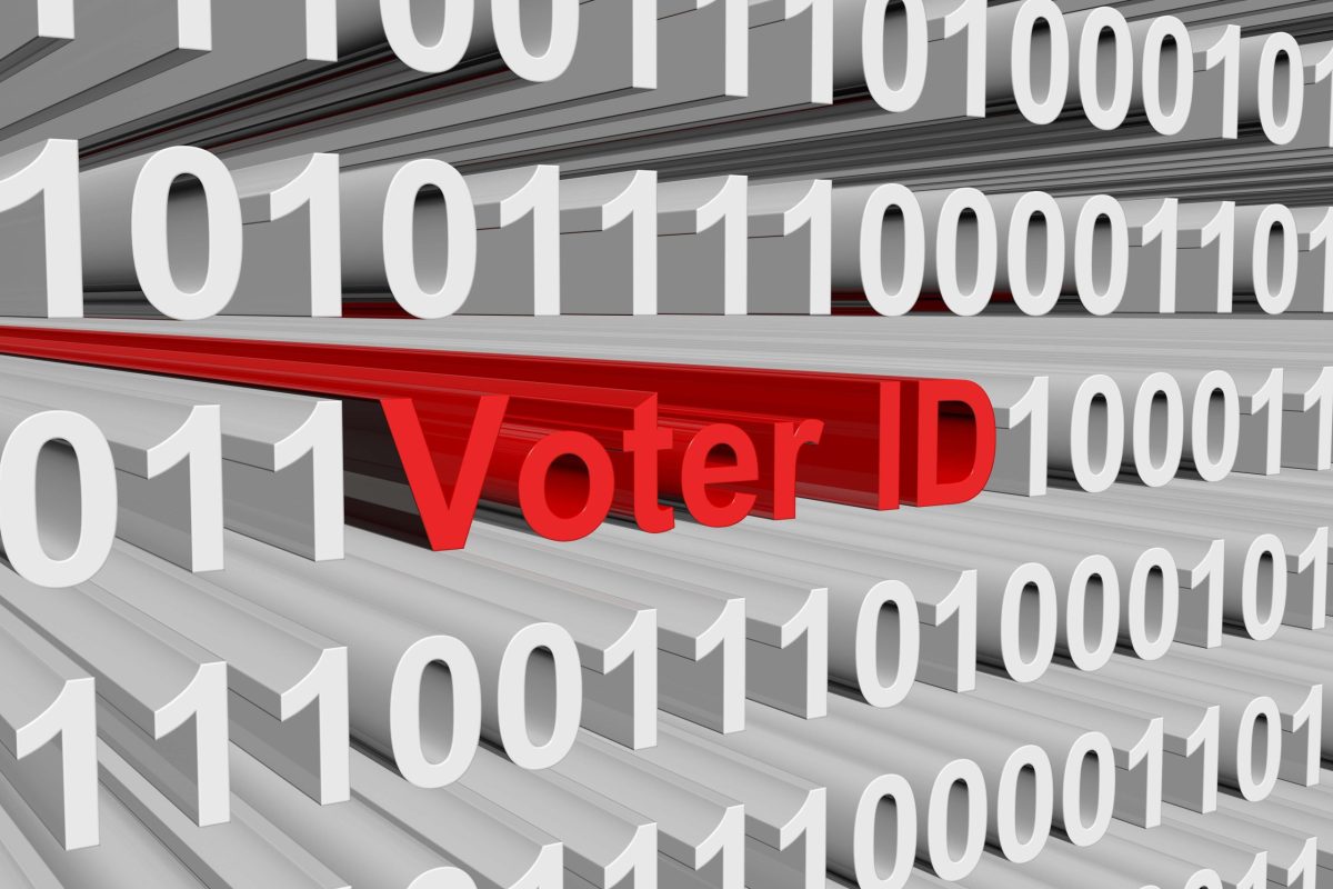 VA ’24 Election Snowed by SDR Chaos