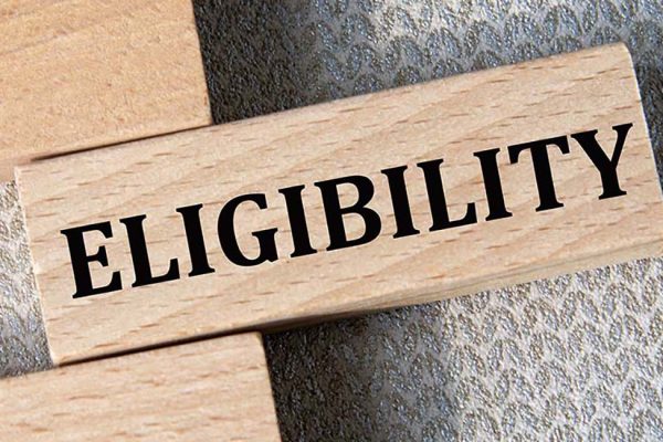 ELiGIBILITY - word on a wooden bar on a gray background. Business concept